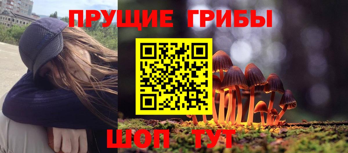 Галлюциногенные грибы мухоморы  Вход с VPN  купить наркотик  Сланцы 