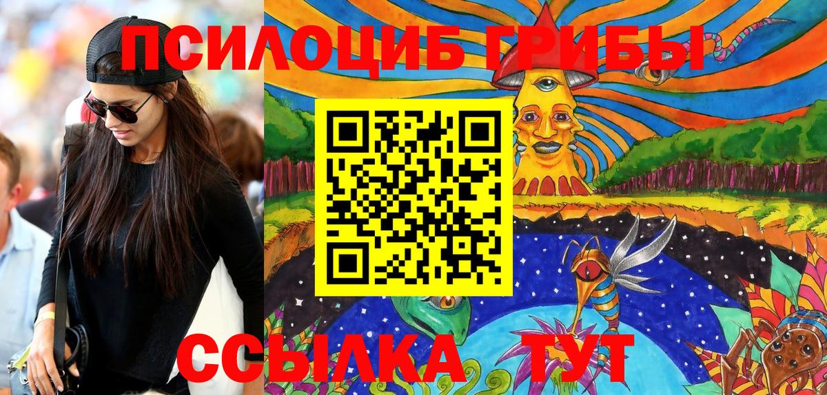 Галлюциногенные грибы Psilocybine cubensis Сланцы
